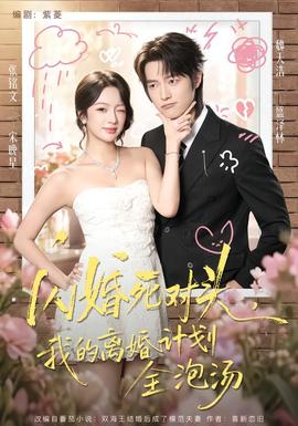 闪婚死对头，我的离婚计划全泡汤（2026）